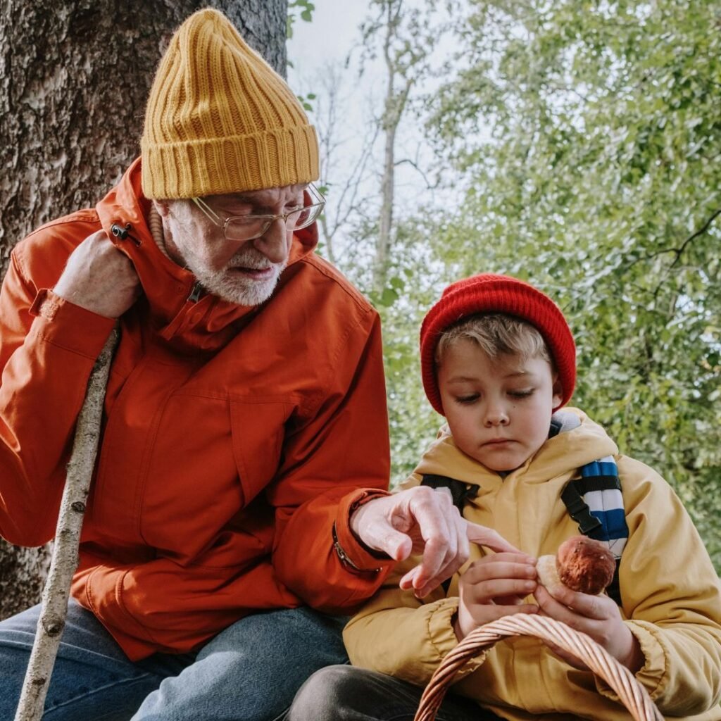 Transmettre son savoir à son petit fils : le secret des champignons