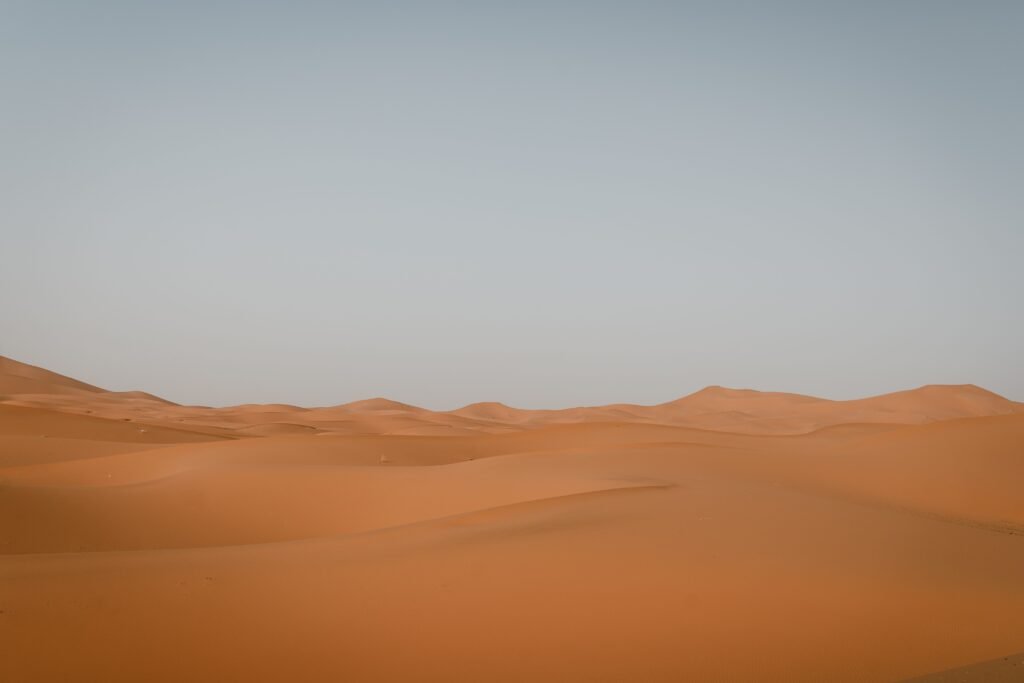 desert